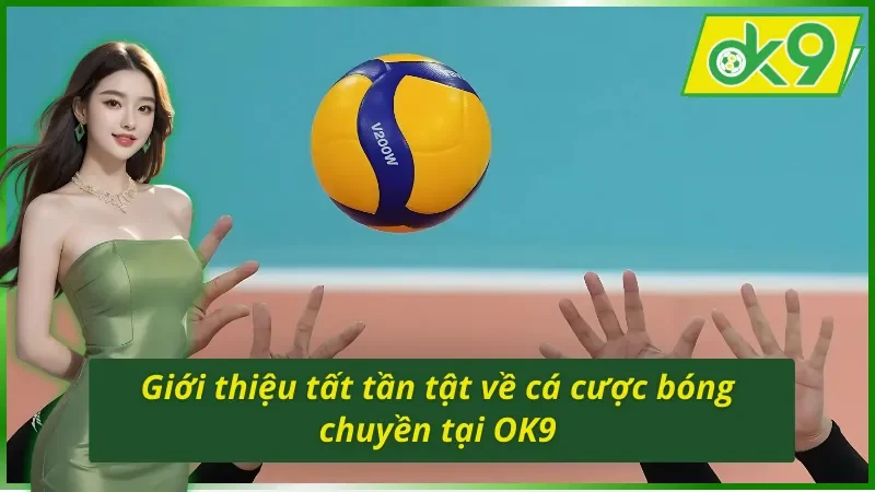 Giới thiệu tất tần tật về cá cược bóng chuyền OK9