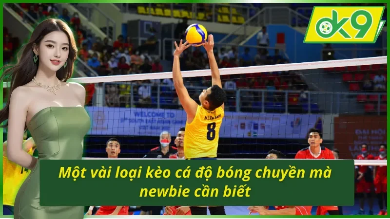 Một vài loại kèo cá cược bóng chuyền OK9 hot nhất 2025