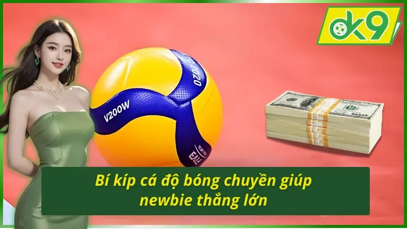Bí kíp cá cược bóng chuyền OK9 giúp newbie thắng lớn