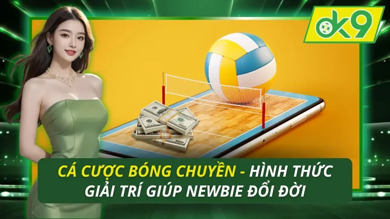 Cá Cược Bóng Chuyền OK9
