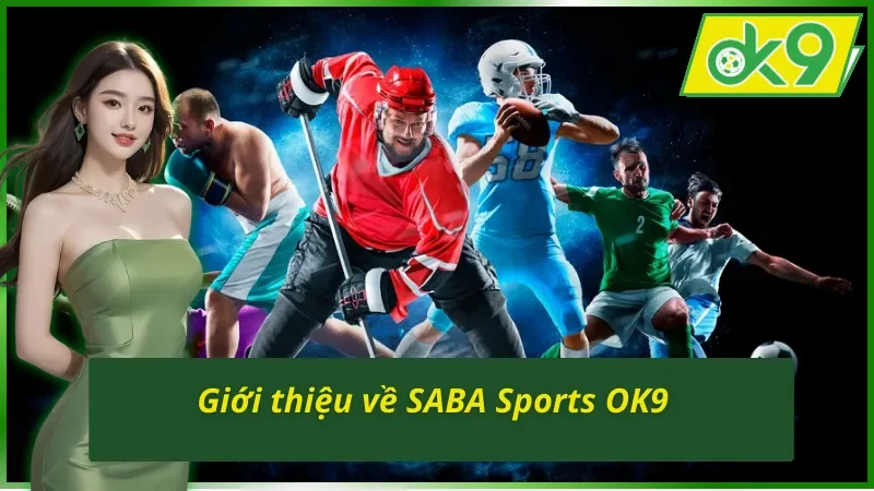 Giới thiệu tổng quan về SABA Sports OK9 