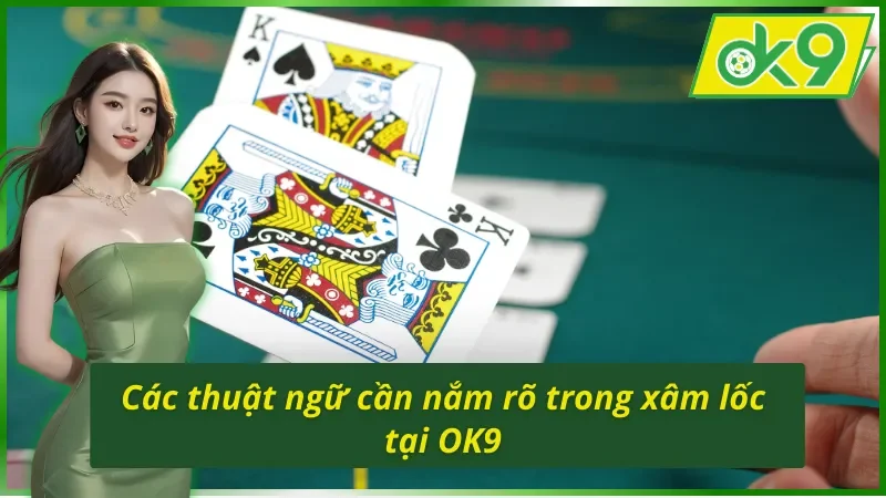Các thuật ngữ cần nắm rõ không thể bỏ qua trong xâm lốc OK9